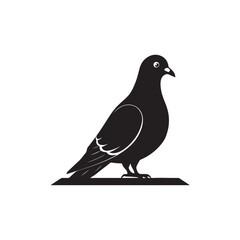 Black silhouette of pigeon