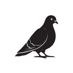 Black silhouette of pigeon
