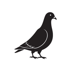 Black silhouette of pigeon