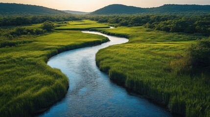 Serene River Winding Through Lush Meadows