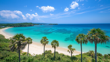 Fototapeta premium Sunny Tropical Beach in Okinawa with Turquoise Waters