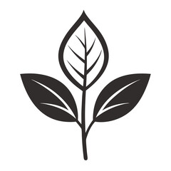 Plant houseplant leaf freshness silhouette line art vector illustration
