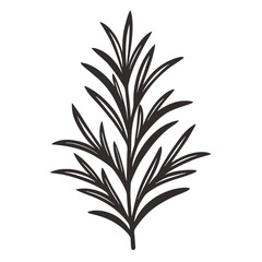 Rosemary icon Silhouette line art vector illustration
