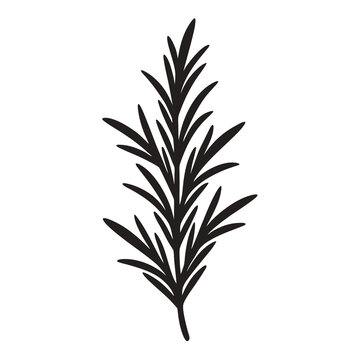recommend clip art: Rosemary icon Silhouette line art vector illustration
                    