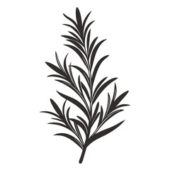 Rosemary icon Silhouette line art vector illustration
