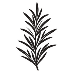 Rosemary icon Silhouette line art vector illustration
