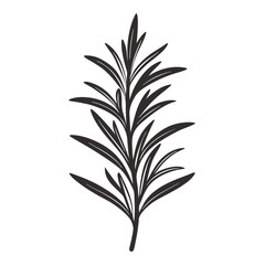 Rosemary icon Silhouette line art vector illustration
