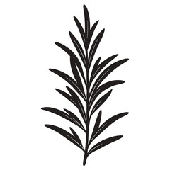 Rosemary icon Silhouette line art vector illustration
