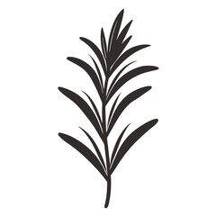 Rosemary icon Silhouette line art vector illustration
