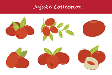 jujube collection in different poses. Vector illustration.