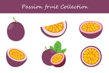 passion fruit collection in different poses. Vector illustration.