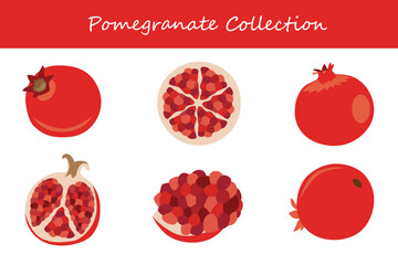 pomegranate collection in different poses. Vector illustration.