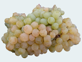 bunch of grapes isolated on white