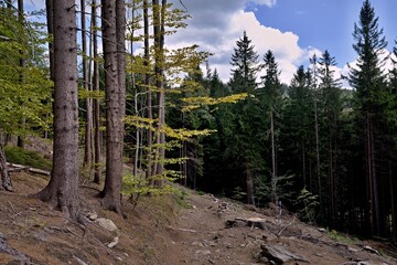 Sunset in Bohemian Paradise. Aerial view from Drabske svetnicky castle ruins