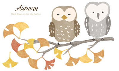 イチョウの木と森のフクロウたち