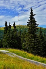 Highest Peak of Moravia, Praded 1492 m with Watchtover in Jesenik, Czech Republic