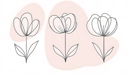 Minimalist Flower Line Art Illustration with Pink Watercolor Background