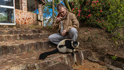 Cute black and white fluffy lemur vari is sitting on the stairs, looking at the camera carefully. The man squatted down next to him, taking pictures on his smartphone. Blooming tropical plants nearby.