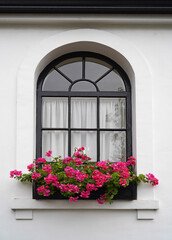 Window box with pink geraniums