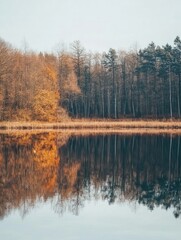 Serene Autumn Forest Lake Scene