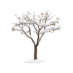 Obraz premium Snow-Covered Tree in Winter Landscape