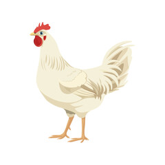 A cute cartoon-style illustration of a chicken with light brown feathers and a red comb. Perfect for farm-themed projects, children's books, or educational content about animals