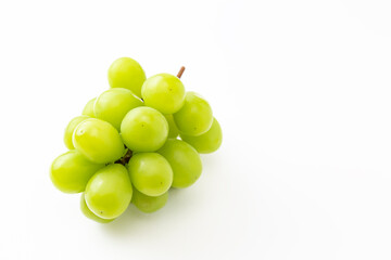 白背景にシャインマスカット