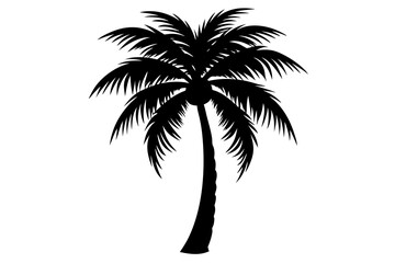 Black palm tree silhouette isolated on white background. vector illustration.