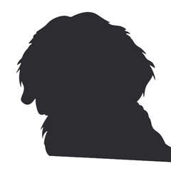 Bernese Mountain Dog in Stylish Sunglasses Silhouette Vector Illustration Transparent Background