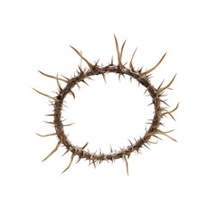 Obraz premium Crown of Thorns