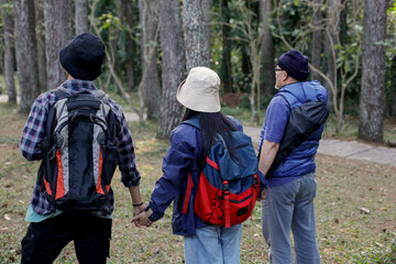 Rear View of Family Member Holding Hands in The Pine Forest