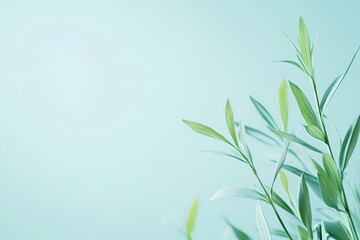 Obraz premium Fresh Mint Green Background with Gentle Leaves