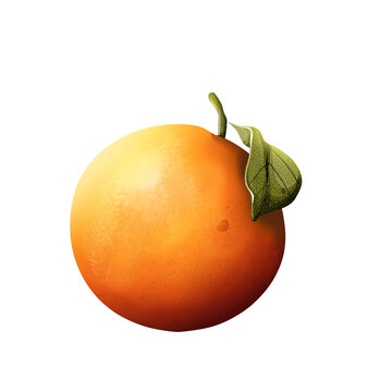 orange with leaf digital illustration isolated on transparent blackground