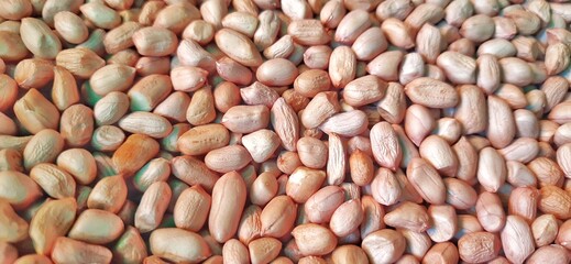 Raw peanuts seed or benih kacang tanah background