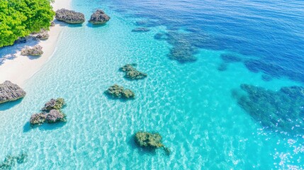 Fototapeta premium Serene Tropical Beach with Clear Blue Water