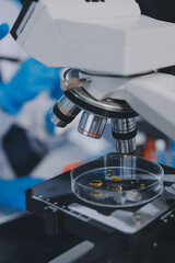 Scientist using microscope in laboratory. Close-up of a researcher's hands adjusting a modern...