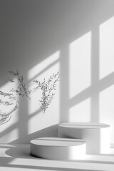 White background, soft lighting, and shadows on the wall