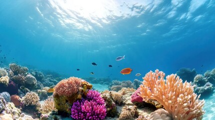 Naklejka premium Vibrant Coral Reef Underwater Landscape