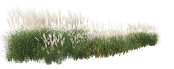 Trees, flowers, grass, low bushes rendered with 3dsmax 