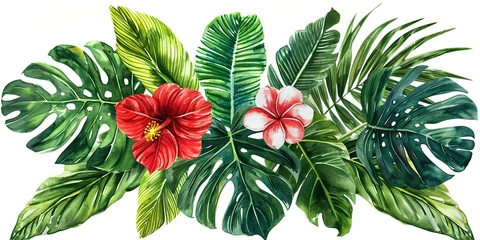  red and green flowers © AA