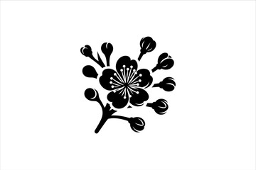 Cherry blossom on branch Silhouette isolated. Cherry blossom Silhouette.