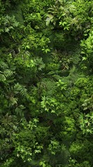 Obraz premium Tranquil Mossy Wonderland. Soft, spongy, and absorbent plant texture concept