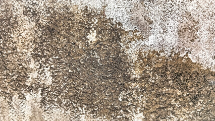 Close-up texture of an aged, weathered wall with natural stains and rough surface, ideal for backgrounds or design elements.