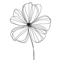 The Unified Beauty: Exploring Diversity's Power in Cultivating Growth and Resilience
