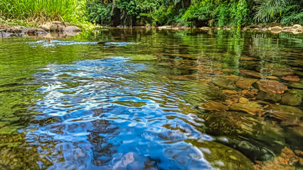 Clear flowing river with visible rocks at the bottom, offering a calming natural scenery.
