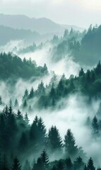 A misty forest with tall trees. AI.