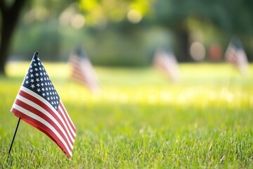 American flags on grass for Veterans Day