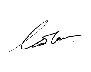Abstract signature ideas starting with the first letter L. Vector with transparent background or alpha channel.