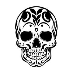  human skull vector and illustration
