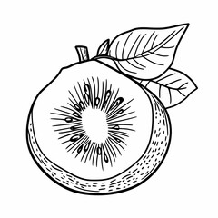 Detailed Fruit Coloring Pages: Digital Coloring Sheets and Cliparts for DIY Projects and Decoration, generated ai